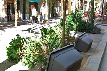 Aquest gener el vent ha arribat a superar els 50 quilòmetres hora