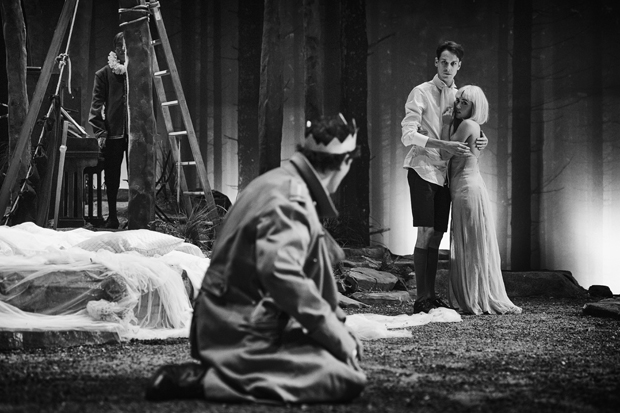 ‘El somni d’una nit d’estiu’, de Shakespeare, arriba a la Sala Gran del TNC | TNC