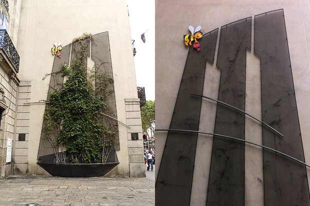 Desapareix la buguenvíl·lea en homenatge a Mary Santpere de la Rambla | Amics de la Rambla, Institut Municipal de Parcs i Jardins, la Rambla