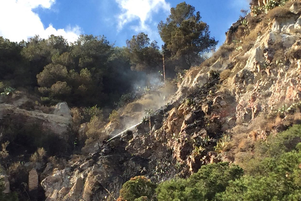 Foc a la falda de Montjuïc | Bombers de Barcelona, Incendis, Parc de Montjuïc