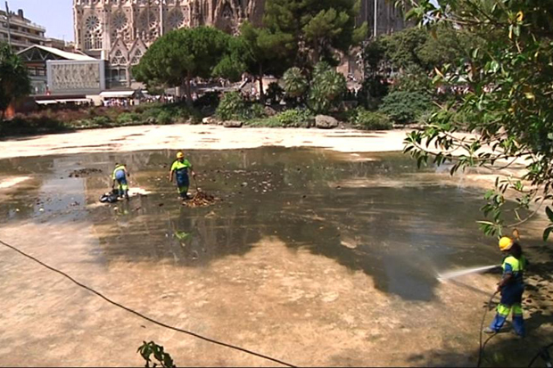 Tasques de neteja a la plaça de Gaudí | Institut Municipal de Parcs i Jardins, neteja