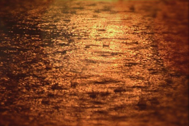 El mes de setembre s’afegeix a la llista de mesos secs | meteorologia, Observatori Fabra