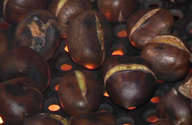 Castanyes amb temps de primavera | meteorologia, Tots Sants