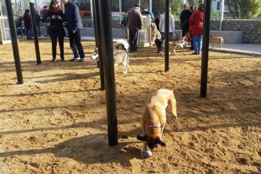 Inaugurada l’àrea d’esbarjo per a gossos més gran de la ciutat