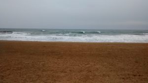 Com es mouen les sorres del litoral barceloní?