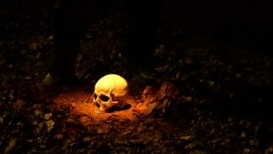 Broggi i La Perla 29 tanquen la tetralogia de Mouawad amb ‘Boscos’