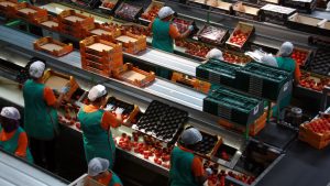 Els ERTO ja afecten un 20 % de la població ocupada de Catalunya