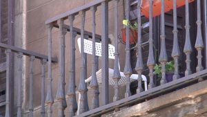 L’observatori europeu dels lobbies veu “massiu” el nombre d’apartaments turístics a Barcelona