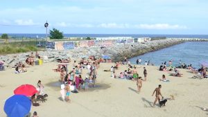 La confusió regna a la platja de gossos abans d’estrenar-se