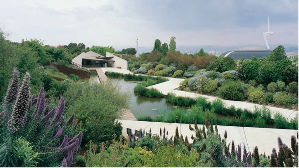 jardi botanic