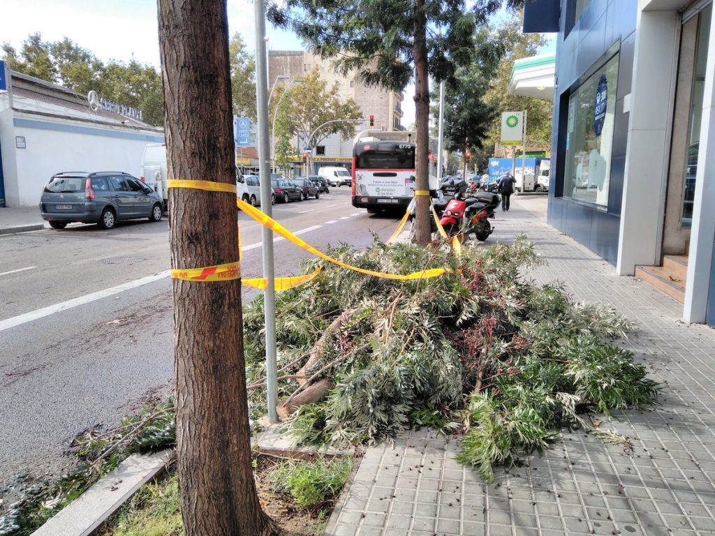 branca-terra-poblenou-pluja