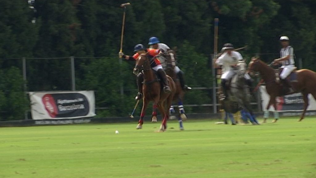 Polo