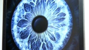 La galeria Iris Foto ven ampliacions de fotografies dels ulls dels clients