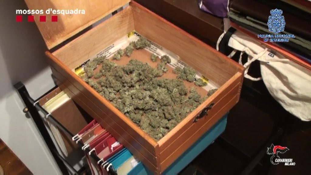 Marihuana
