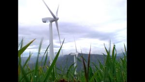 Maig 2020, rècord de producció elèctrica amb energia renovable