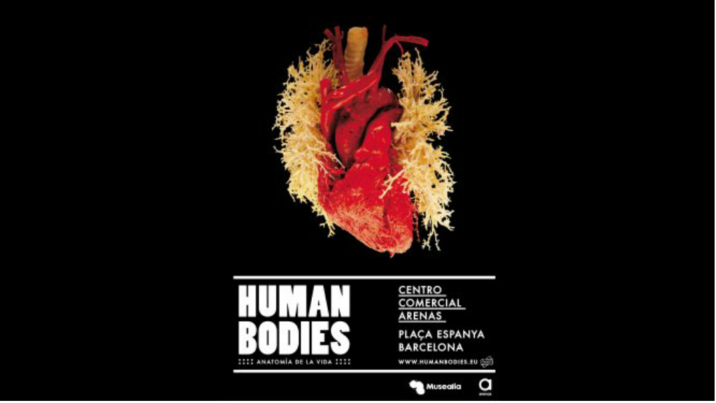 Tres espais culturals s'uneixen per oferir descomptes durant les festes | descomptes, exposicions, Nadal, Poble Espanyol