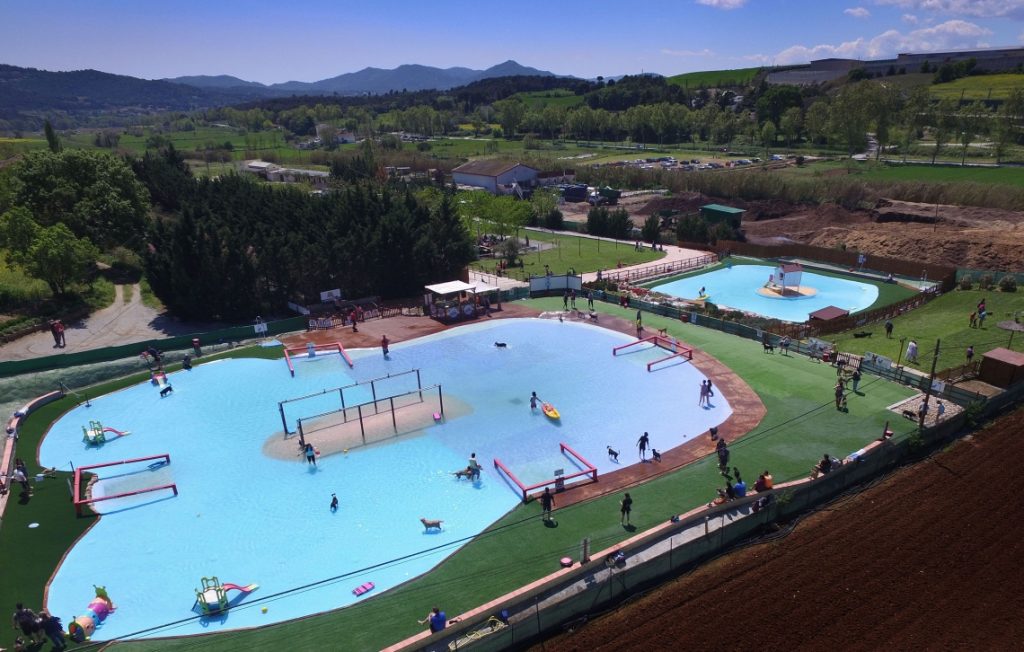 piscina per gossos