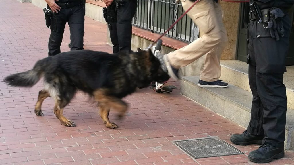 Nou detinguts en l'operació dels Mossos d'Esquadra a Ciutat Meridiana contra el tràfic de droga | Mossos d'Esquadra, tràfic de drogues