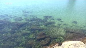 La temperatura de l’aigua del mar ha pujat 3 ºC en menys d’una setmana