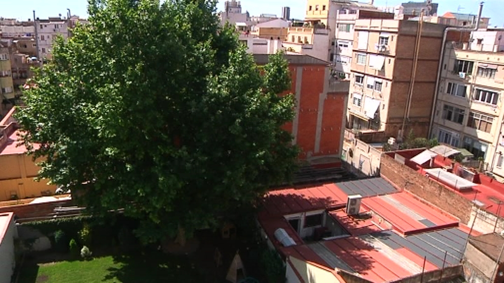 plataner interior illa Gr&agrave;cia