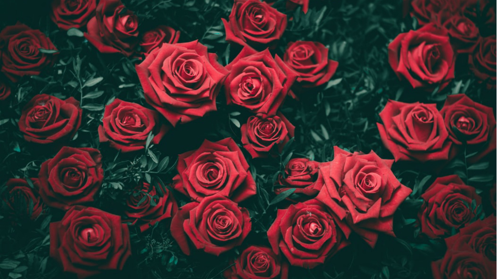 sant jordi 2021