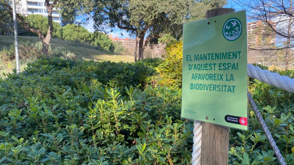 Plantes espai biodiversitat