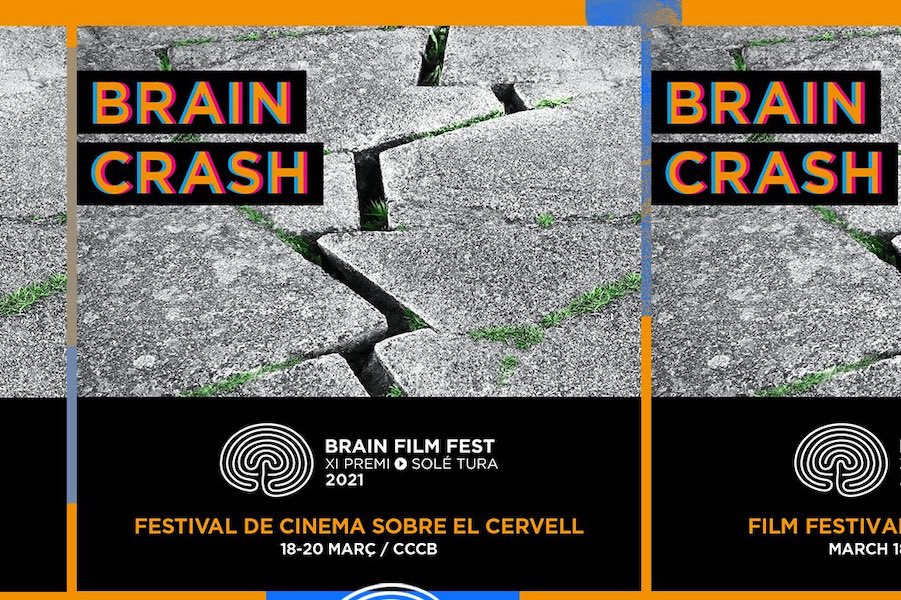 brain film fest