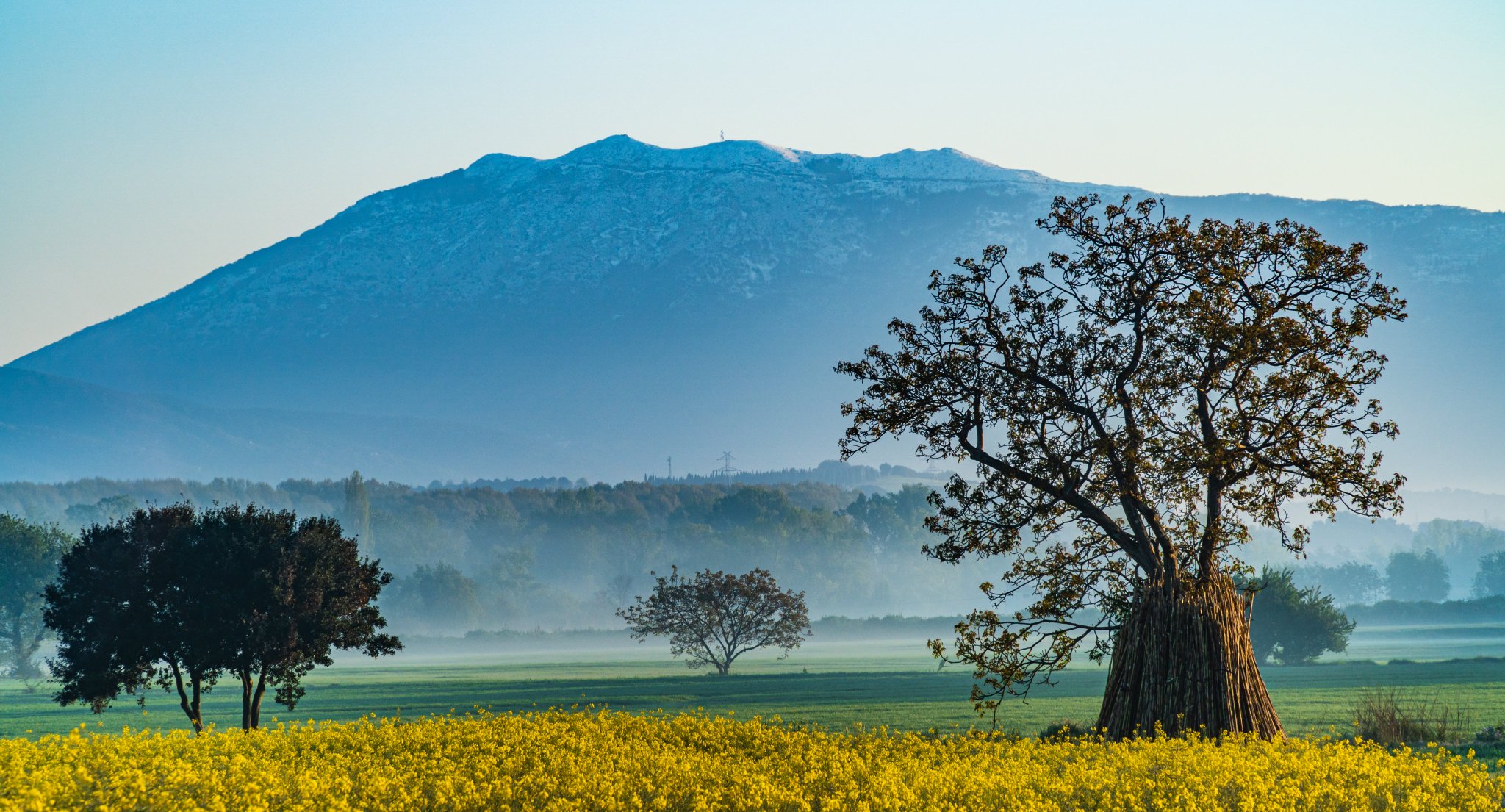 enfarinada-abril-Montseny