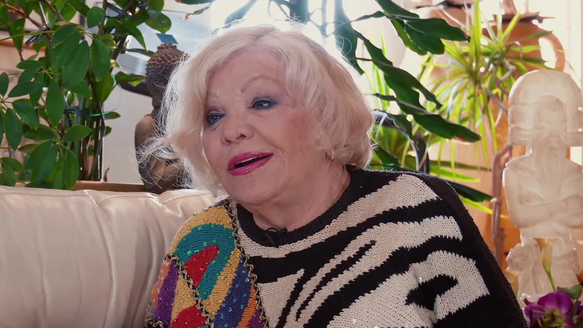 FB Dolly van doll vedet trans (1)