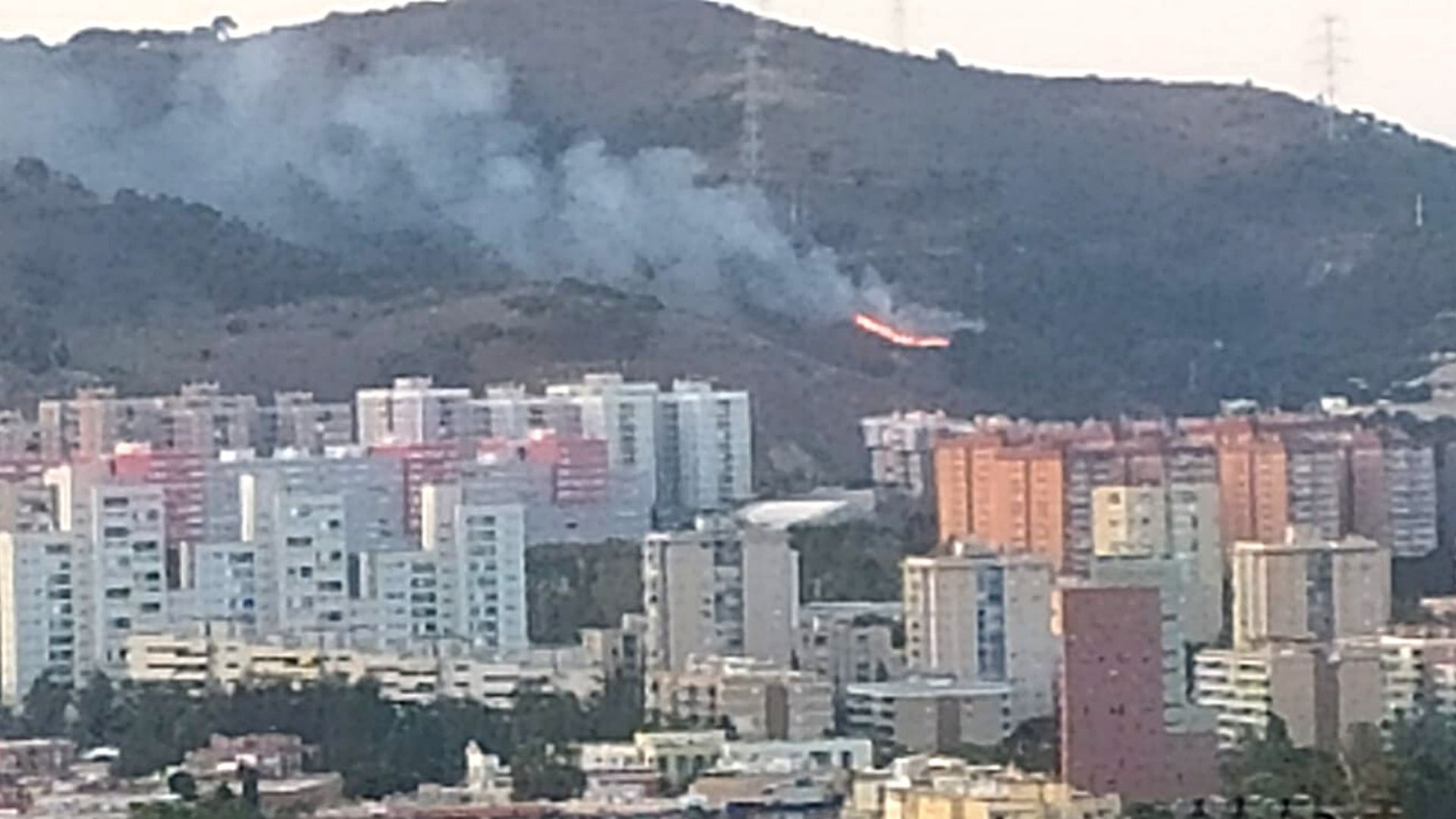 Barcelona revisa els planejaments urbanístics dels barris de muntanya per protegir-los dels incendis | Collserola, ERC, Incendis, Parc Natural de Collserola, PSC