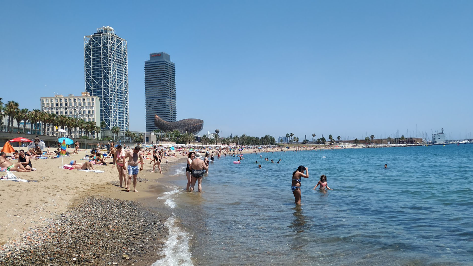 Platja del Somorrostro el juliol de 2019. L'aigua del mar toca ara els 24 ºC