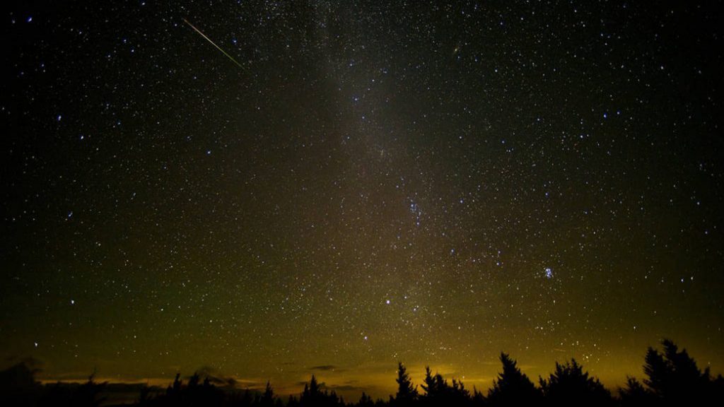 perseids