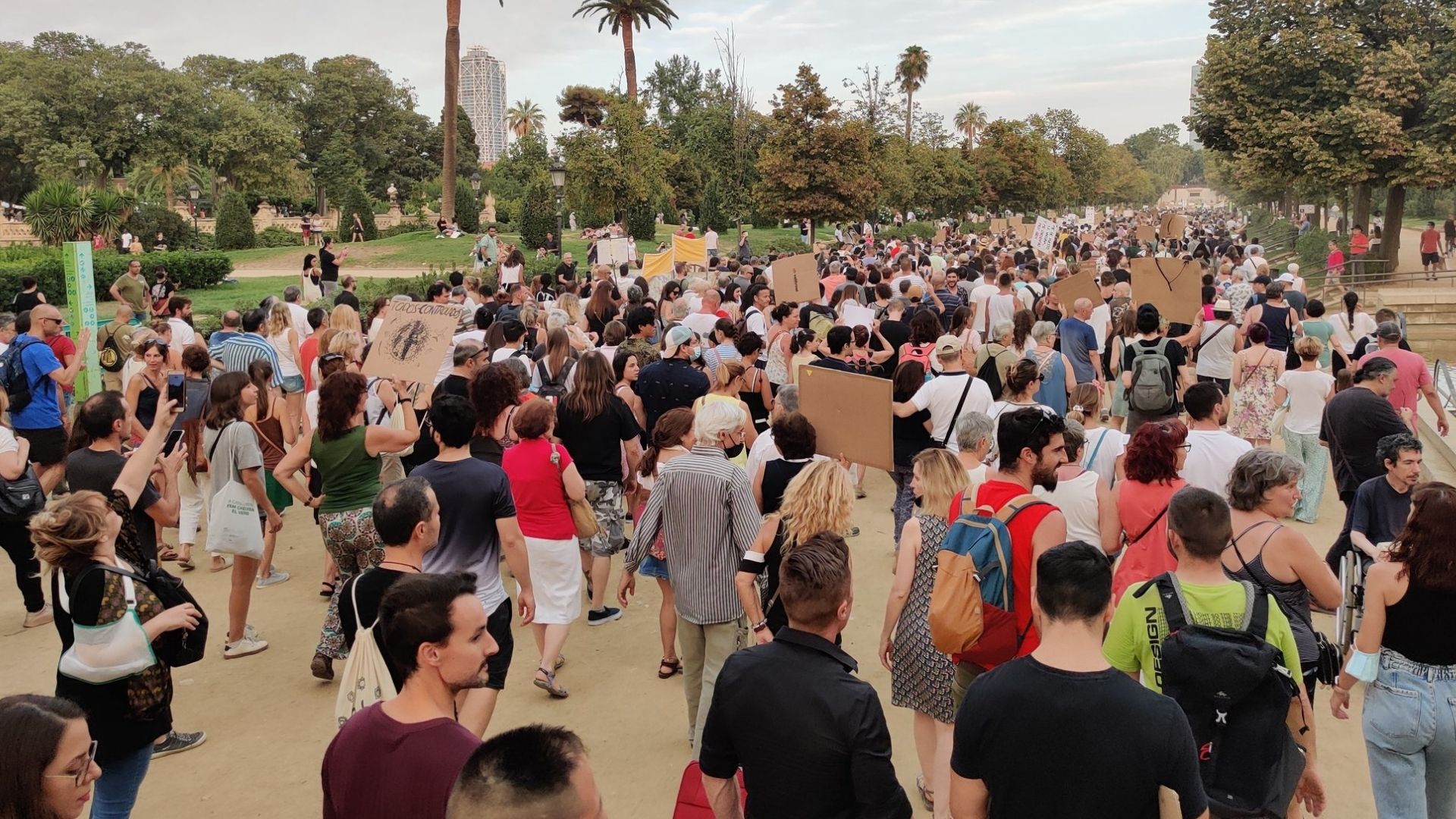 manifestació negacionista a Barcelona