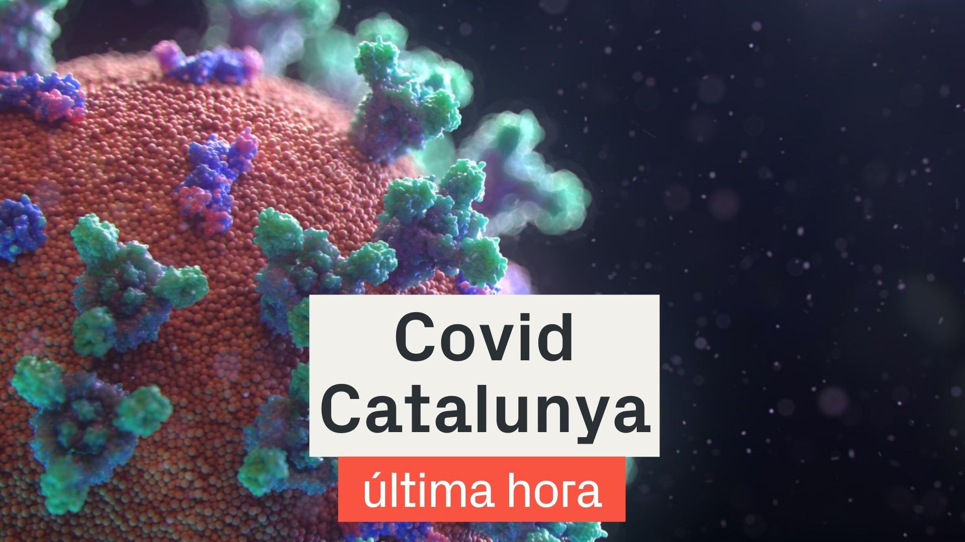 covid Catalunya última hora òmicron certificat