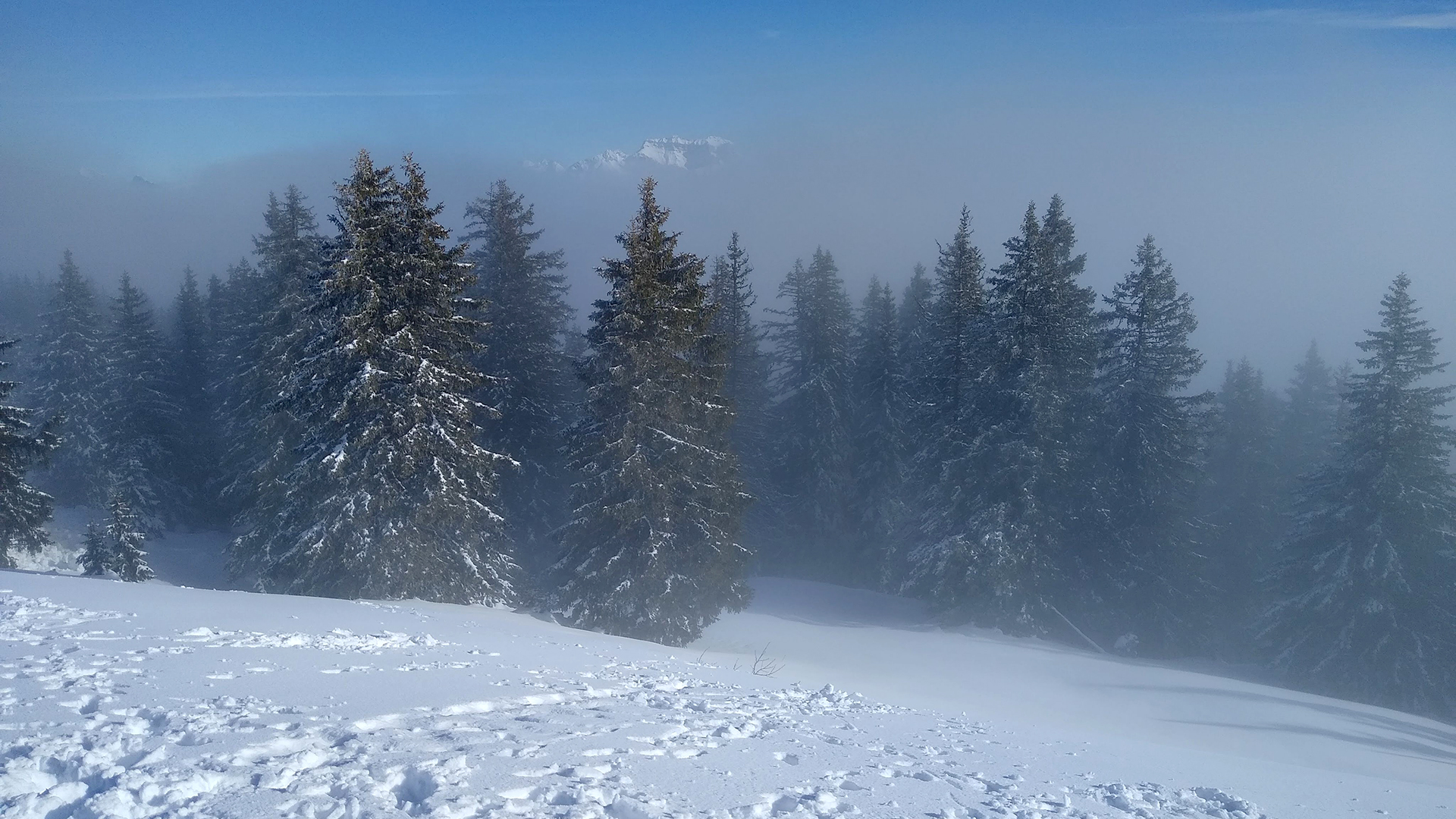 neu-alps