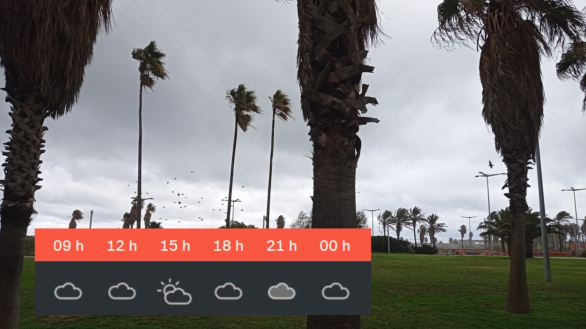 Previsió del temps per a dimecres, 22 de desembre: núvols, però absència de pluja | previsió del temps