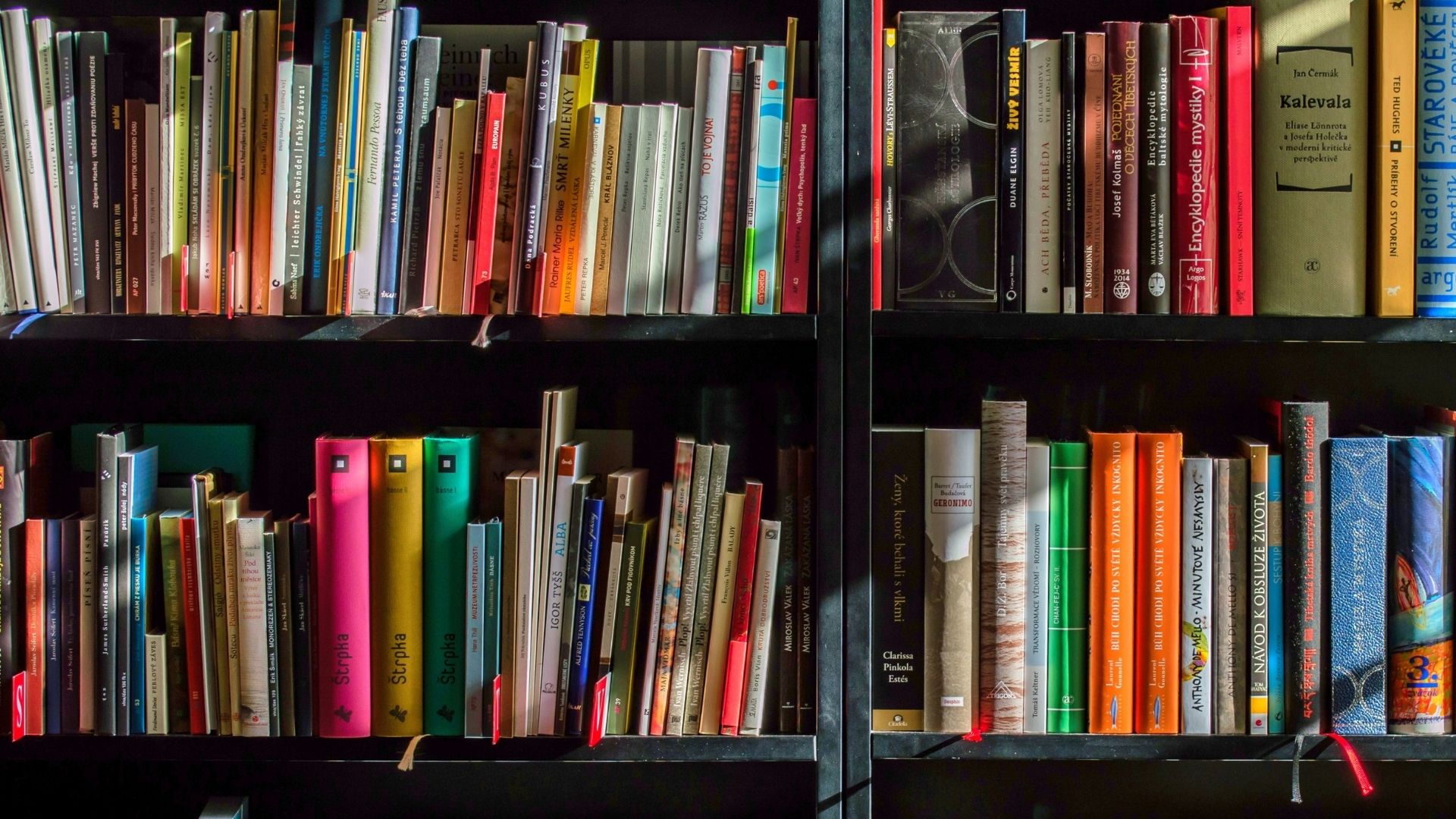 llibres recomanats sant jordi 2022 barcelona
