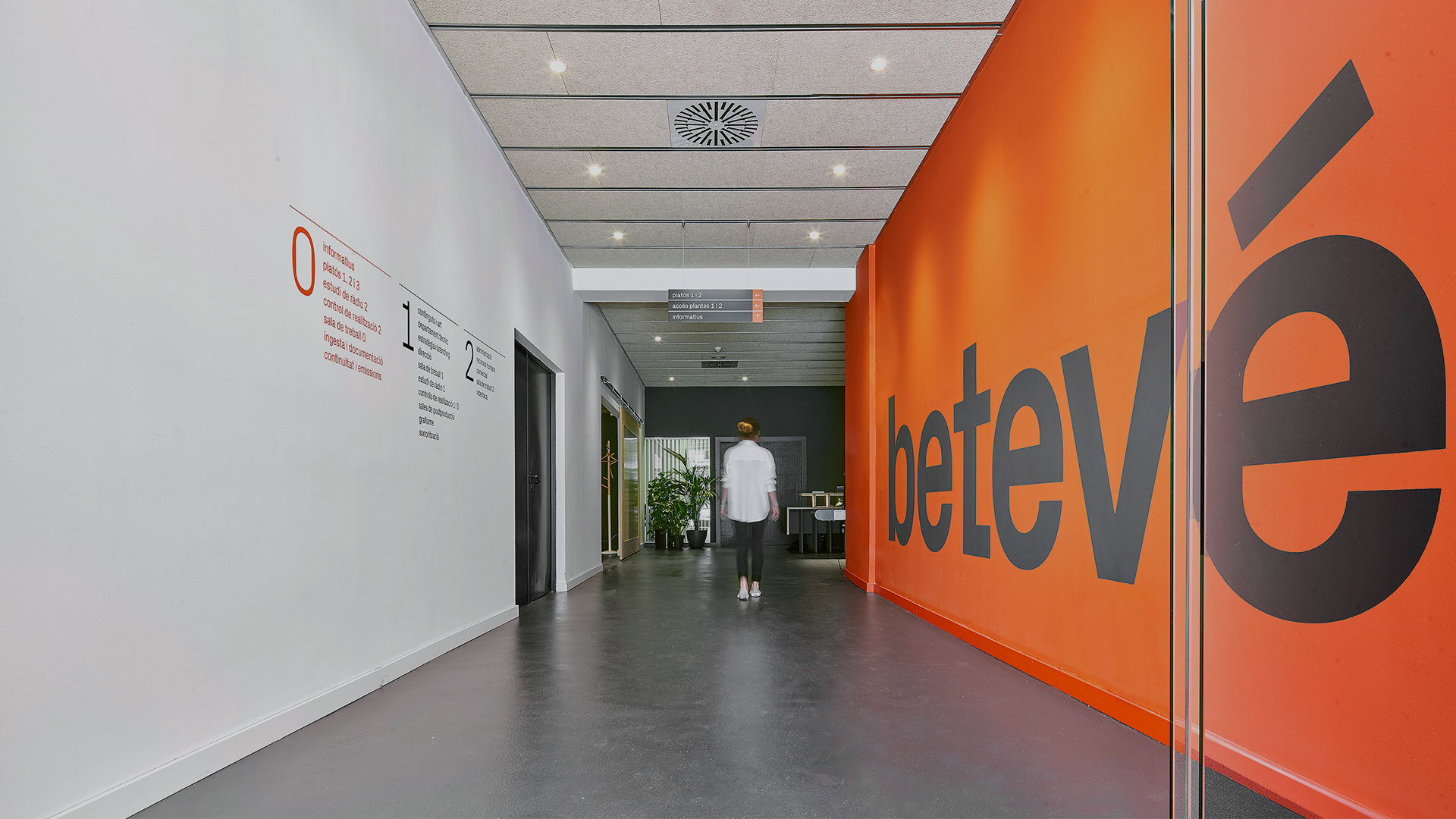 nova programacio beteve 2024