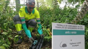 L’Agència de Salut Pública reforça els punts de vigilància dels caus de rates a la plaça de Catalunya
