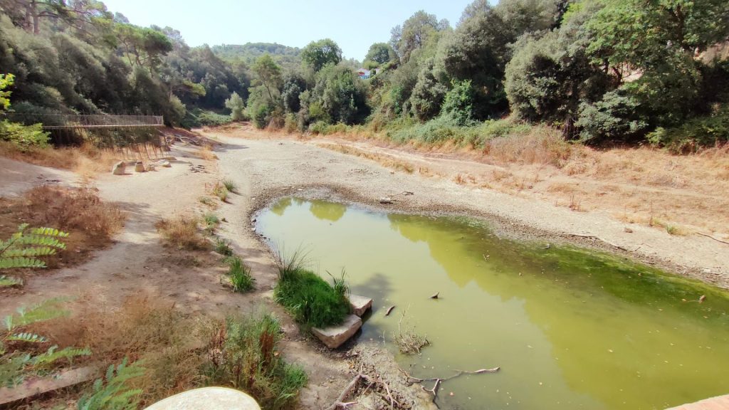 El pantà de Vallvidrera, convertit en un bassal: les imatges dels efectes de la sequera a Barcelona | aigua, animals, calor, Collserola, onada de calor, Parc Natural de Collserola, sequera