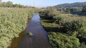 El riu Besòs es reivindica amb la festa ciutadana Va de Besòs
