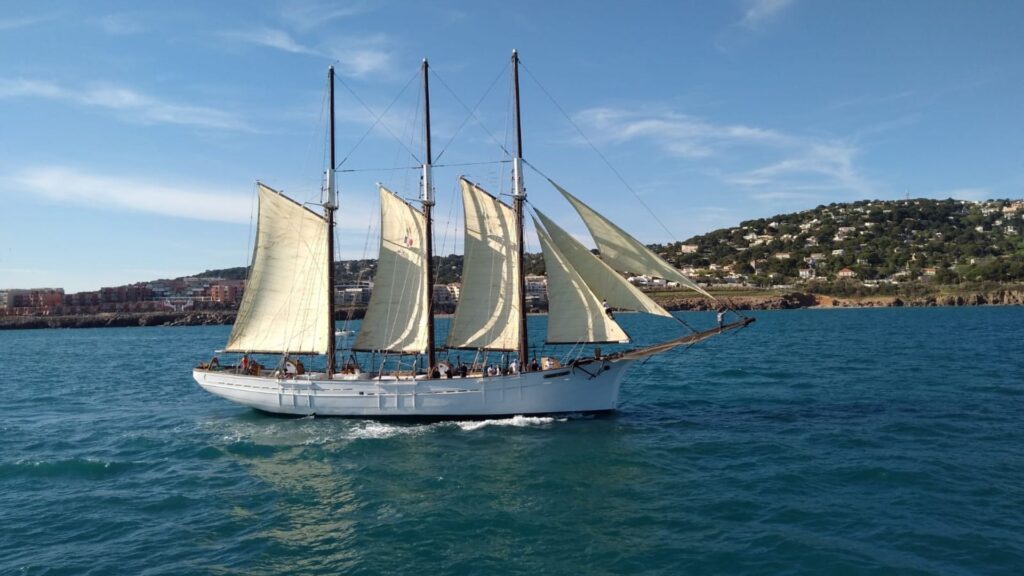 pascual flores vaixell moll fusta