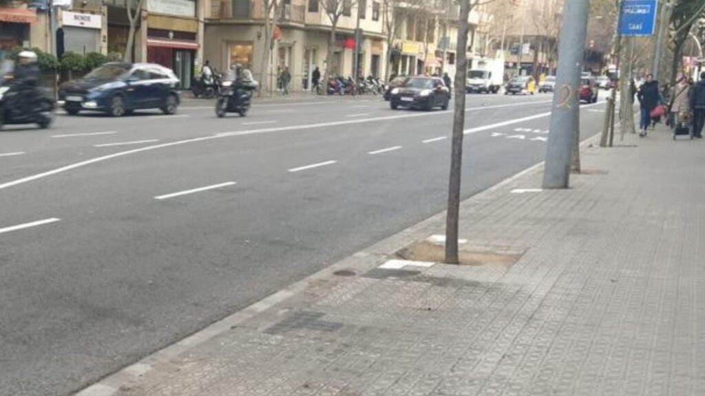 Retirada exprés dels sis contenidors que barraven el pas a la travessera de les Corts | contenidors
