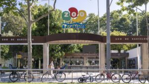El Zoo incorpora aquest estiu un espai pedagògic per descobrir la biodiversitat del planeta