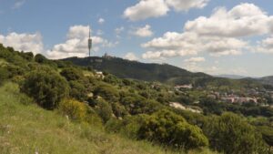La pluja de maig no calma la set: Collserola continua amb risc d’incendis