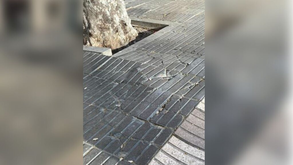 Amics de la Rambla diu que les millores que s'han fet al passeig són "petits pegats" | Ajuntament de Barcelona, Amics de la Rambla, la Rambla, obres