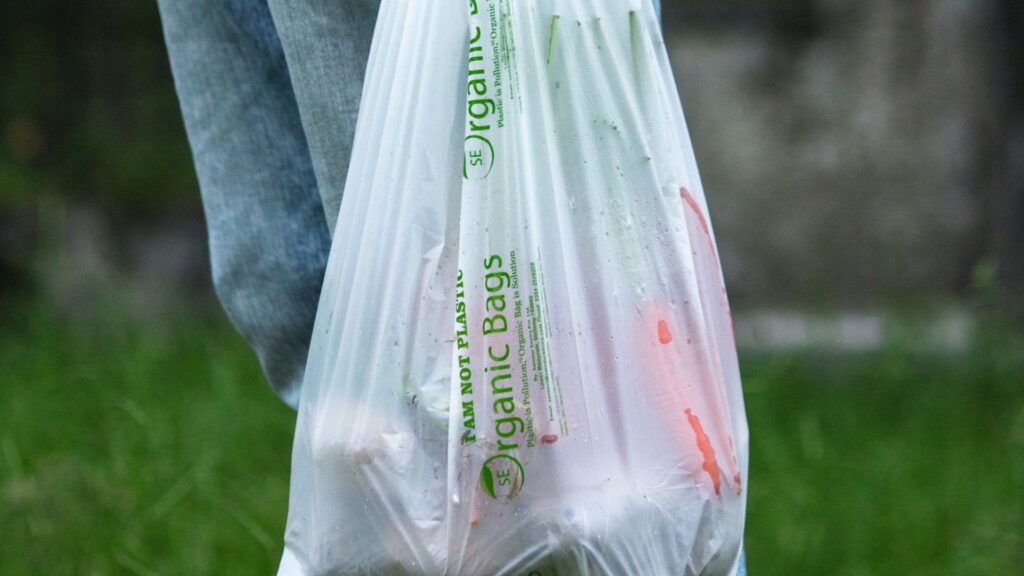 Les closques de gamba, a punt de substituir el plàstic  | Barris, ciència, investigació, recerca, reciclatge, sostenible, Universitat de Barcelona (UB), universitats, UPC