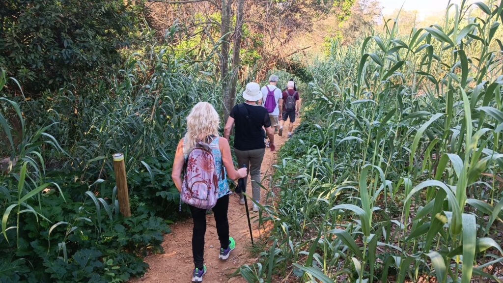 Unes 250 persones fan la primera excursió al Montjuïc 360º, l'únic sender barceloní | Parc de Montjuïc, salut pública