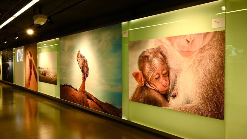 Exposició Nature Awards TMB 2