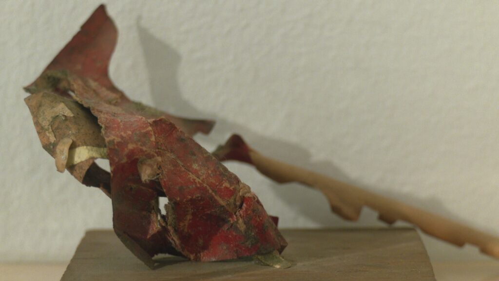 L'obra de Joan Brossa, sense jerarquies | exposicions, MACBA, poesia